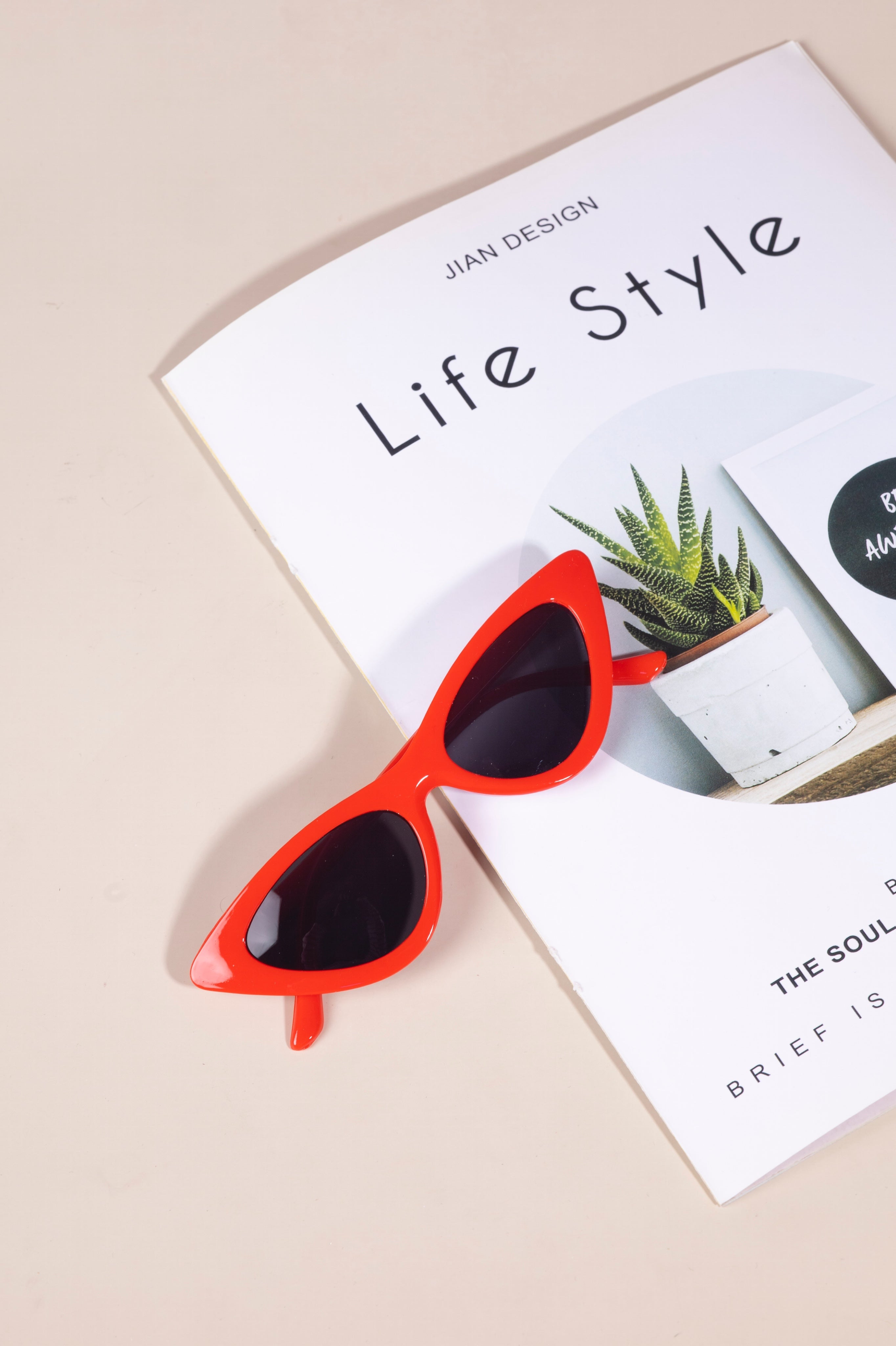 چاویلکەی خۆر C104