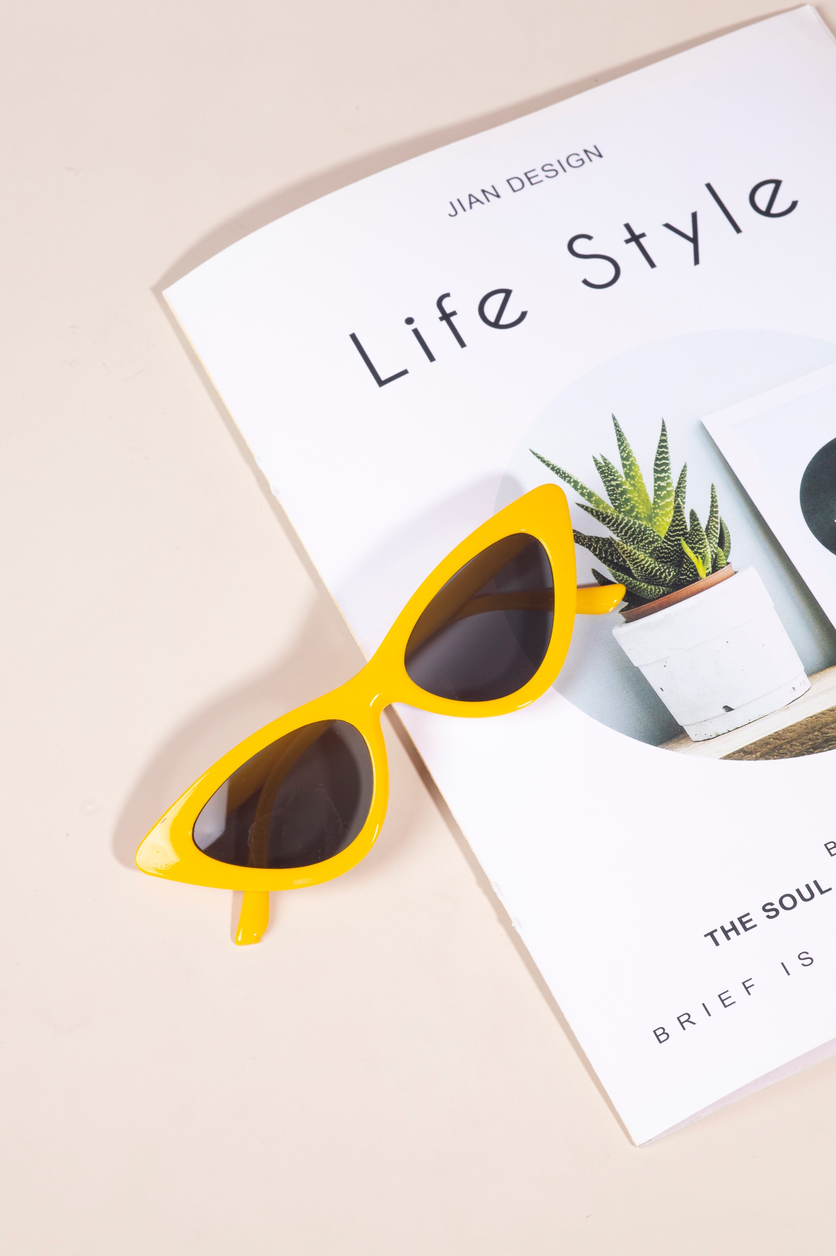 Sunglasses C104